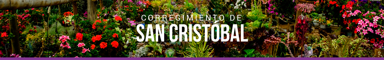 San Crist&oacute;bal